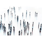 Print on Canvas: Indescribable Atmosphere