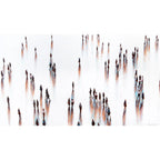 Print on Canvas: Look Around
