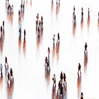 Print on Canvas: Valued Companions