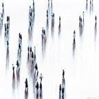 Print on Canvas: Respected Company